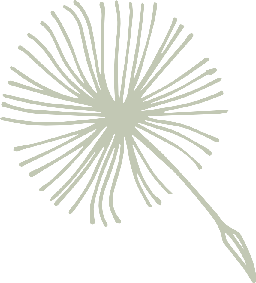 Dandelion 2